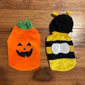 Cat/Small Dog Pumpkin and Bee Costume Set